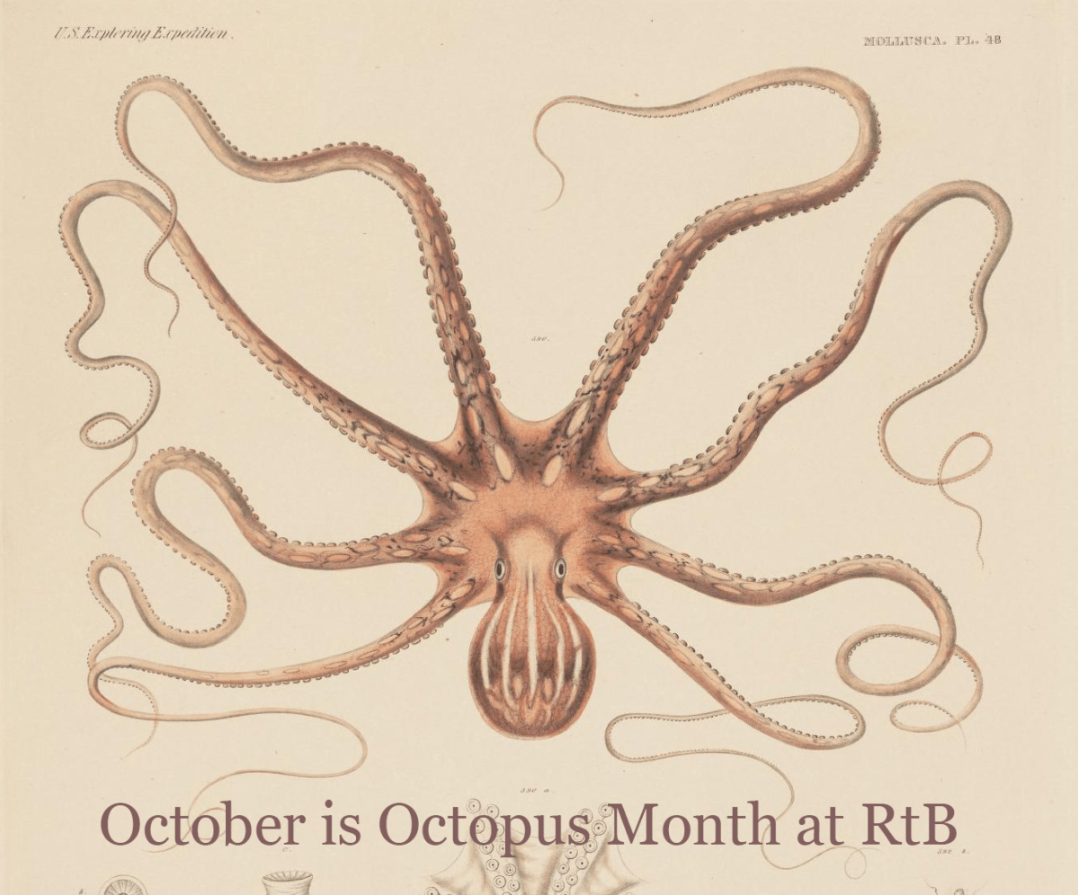 65 Octopus World: Other Minds with Peter Godfrey-Smith (EF,&nbsp;JP)