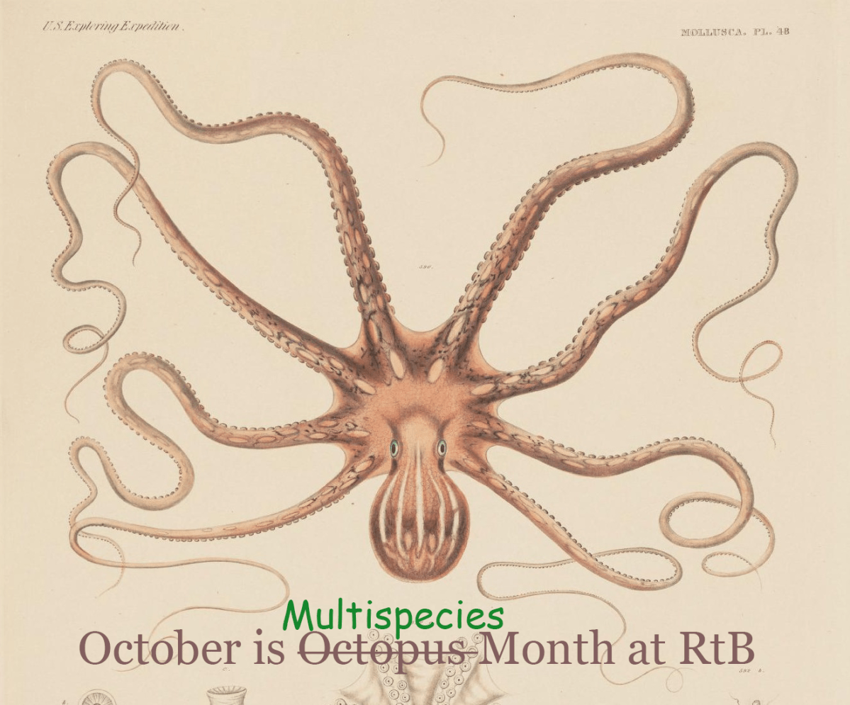 Another Perspective on Non-Human&nbsp;Minds